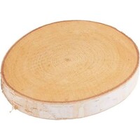 Berkschijf rond 20 cm - natuurlijke decoratie met of zonder bast voor terrarium of interieur