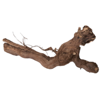 Druivenstronk 40 cm | natuurlijk klimhout en decoratie voor terrarium of interieur