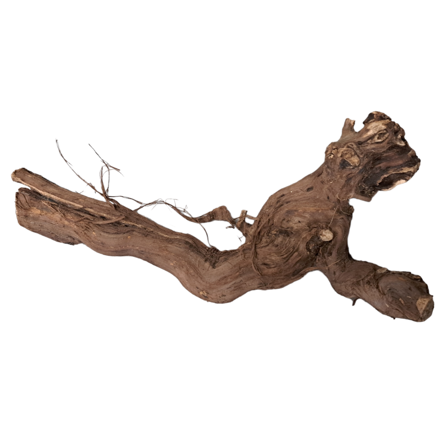 Druivenstronk 40 cm - natuurlijke decoratie en klimelement voor terrarium of interieur