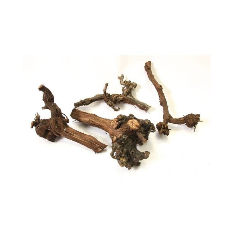 Wijnrankhout 30 cm | natuurlijk klimhout en decoratie voor terrarium en interieur