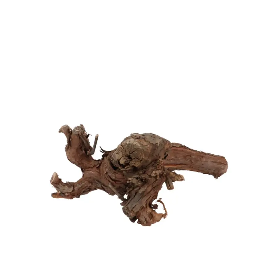 Druivenhout 20 cm | natuurlijk klimhout voor terrarium, vivarium of interieur