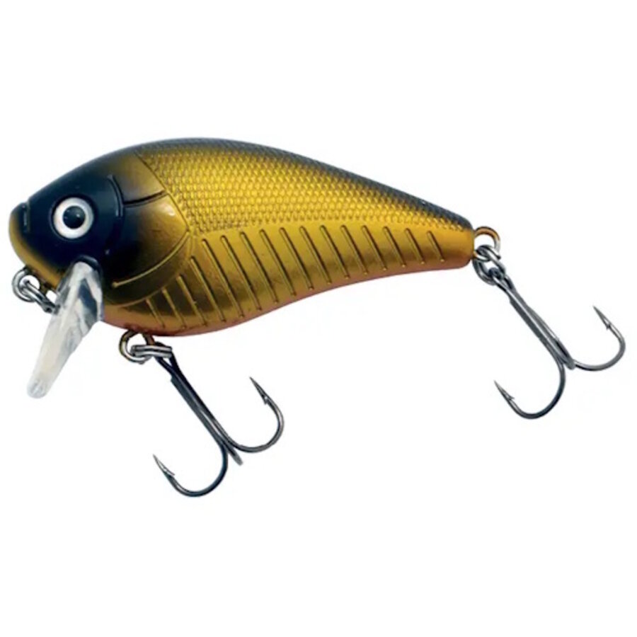 XS-Pro Mach1 SSR 6CM 9g - drijvende plug met realistische actie en holografische afwerking