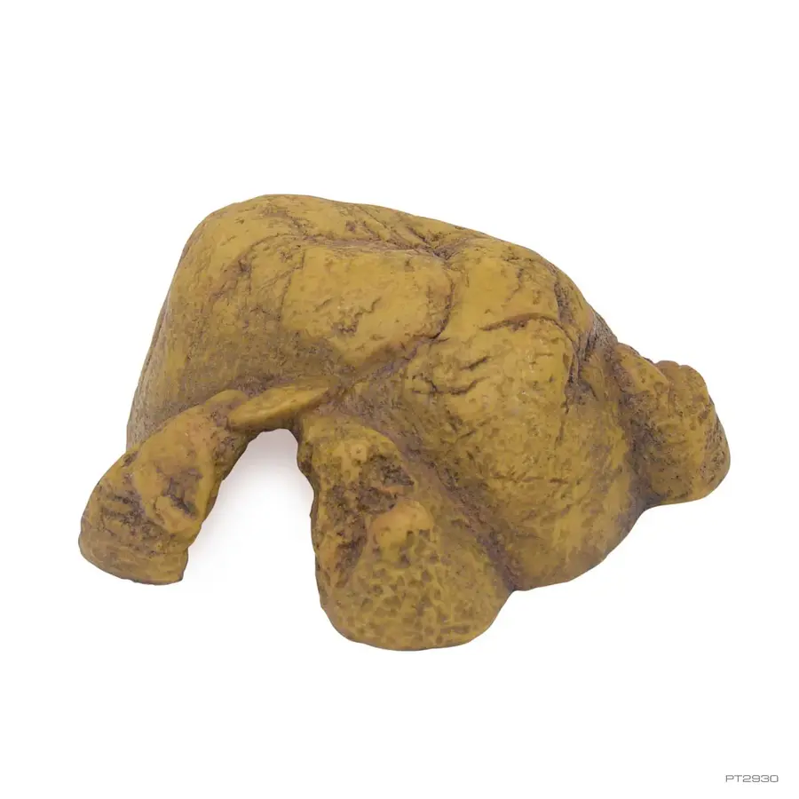 Reptielengrot voor terrarium | natuurlijke schuilplaats voor reptielen en amfibieën – verkrijgbaar in 5 maten