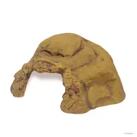 Reptielengrot voor terrarium | natuurlijke schuilplaats voor reptielen en amfibieën – verkrijgbaar in 5 maten