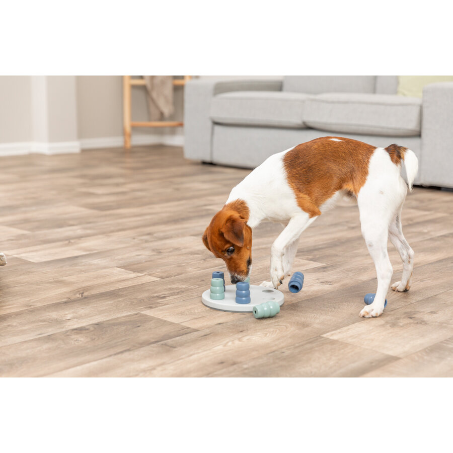 Dog Activity Gambling Tower  Strategisch Spel