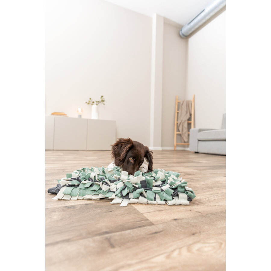 Snuffelmat Strategisch Spel