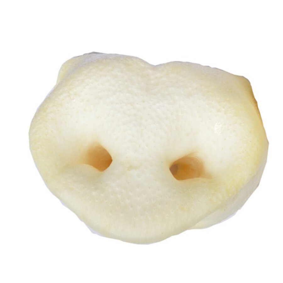 Honingneusjes - gepofte varkensneuzen met honing, natuurlijke hondensnack, bulkverpakking 150 stuks