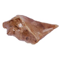 Kauwhoefjes met paté - smakelijke gevulde hondensnack van rund, langdurig kauwplezier, bulkverpakking