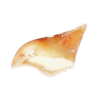 Kauwhoefjes met vet - smakelijke hondensnack van rund, langdurig kauwplezier, bulkverpakking 25 stuks