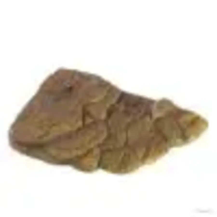 Drijvend zonneplatform met magnetische bevestiging – past zich aan elke waterstand aan – Small, Medium, Large