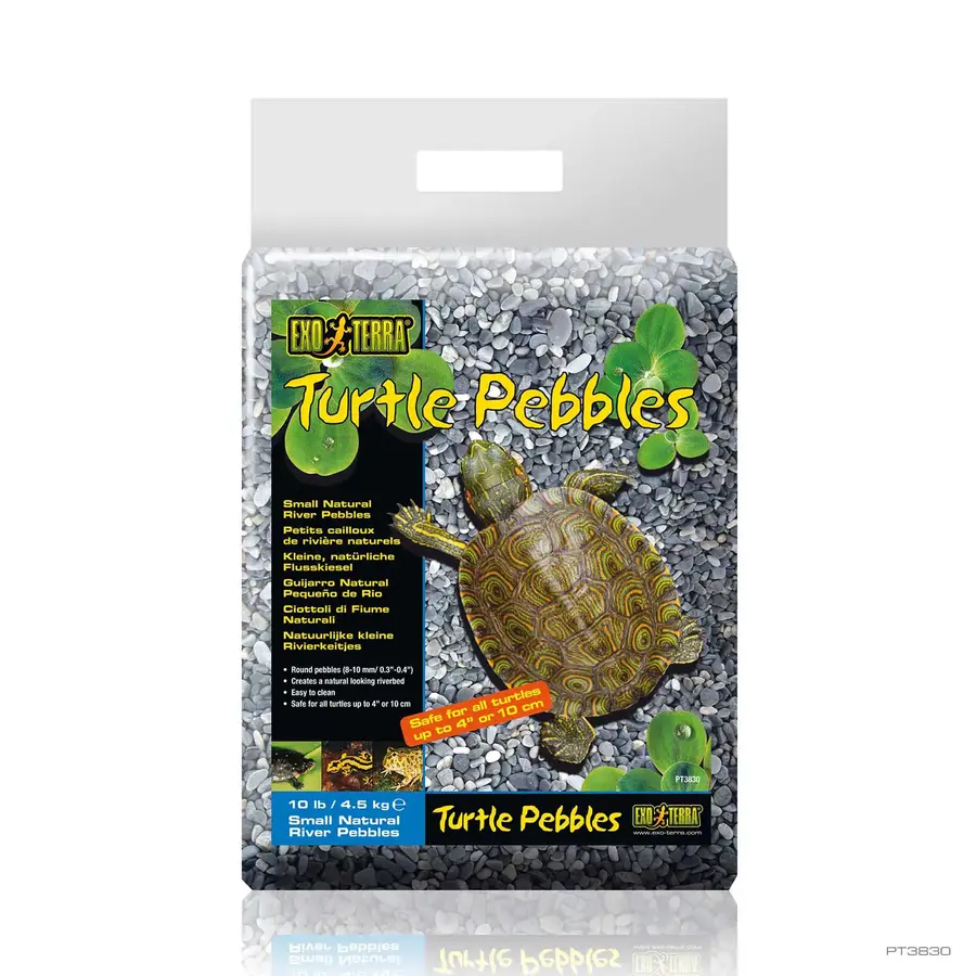 Rivierkiezels voor schildpadden – Small (8–10 mm) | natuurlijk terrariumsubstraat 4,5 kg