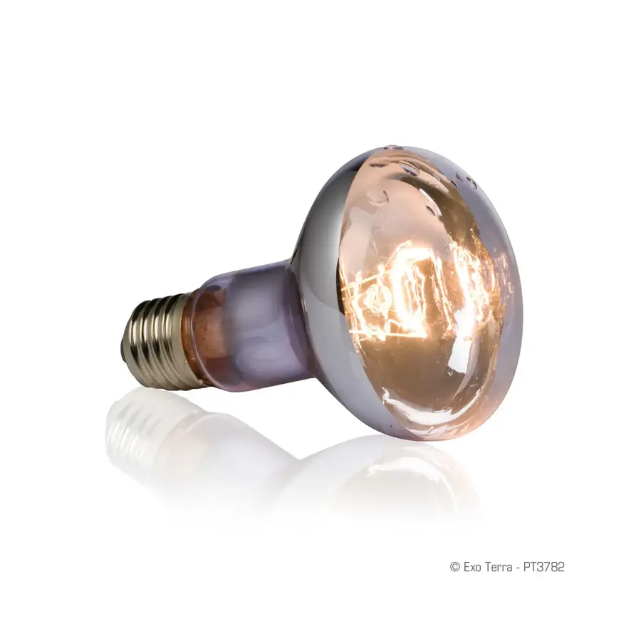 Spatbestendige zonneplek lamp Swamp Basking Spot – voor aquatische & vochtige terraria – 50W | 75W | 100W