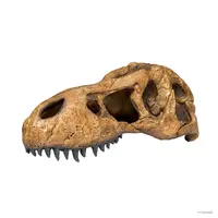 T-Rex Skull fossiele schuilplaats – prehistorische decoratie en veilige schuilplek