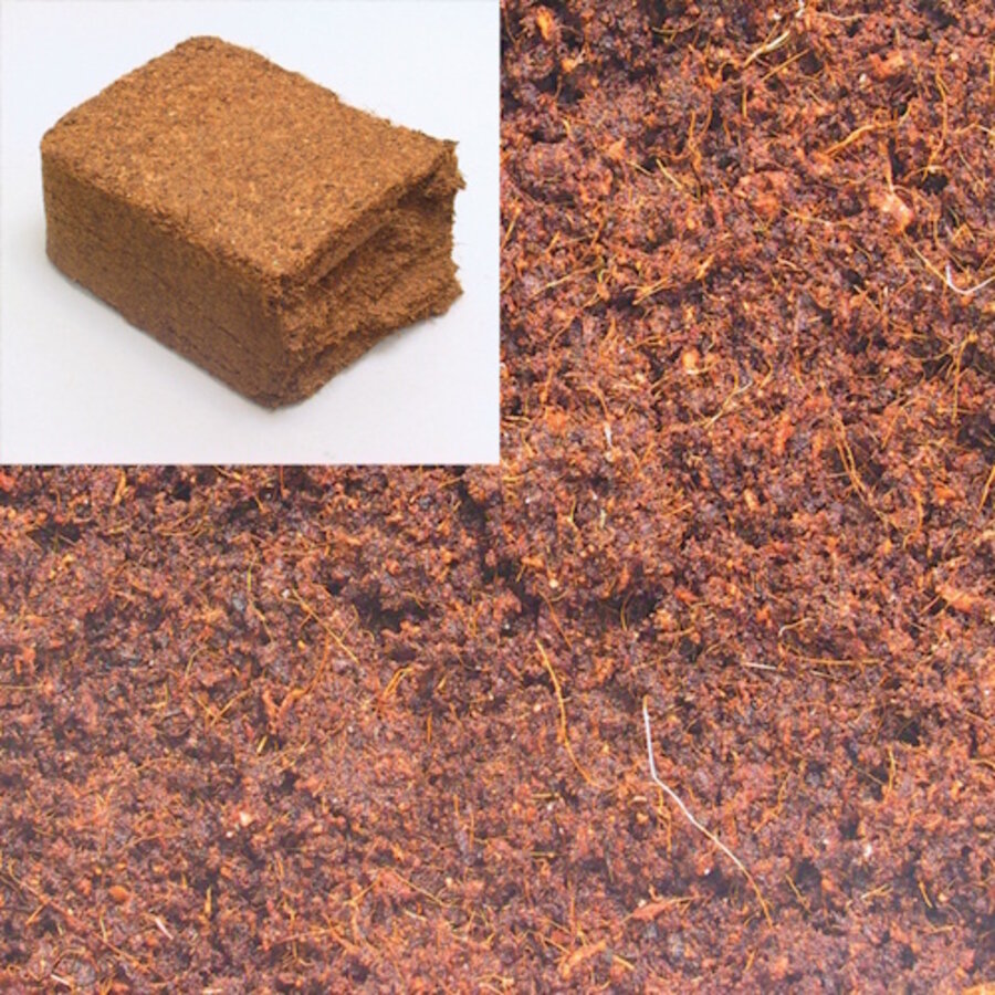 TerraCoco Humus 600 gram | ca. 8 liter kokoshumus bodembedekking voor terraria