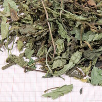 ProTerra Herbil kruidenrijk voeder voor alle soorten landschildpadden