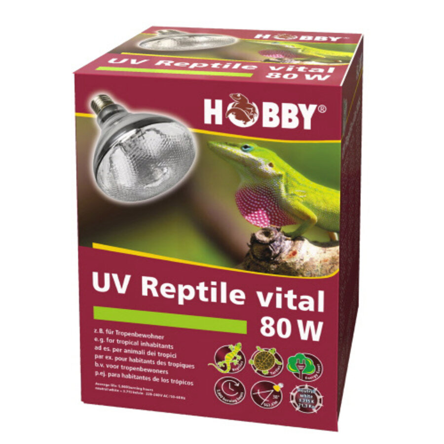 UV-Reptile Vital 80W UVB vlakstraler voor tropische reptielen