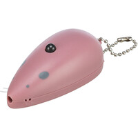 Laser-pointer Catch the Light