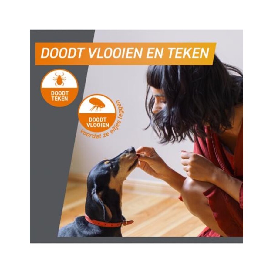 Kauwtabletten tegen Vlooien en Teken Hond boven 4 tot 10 kg