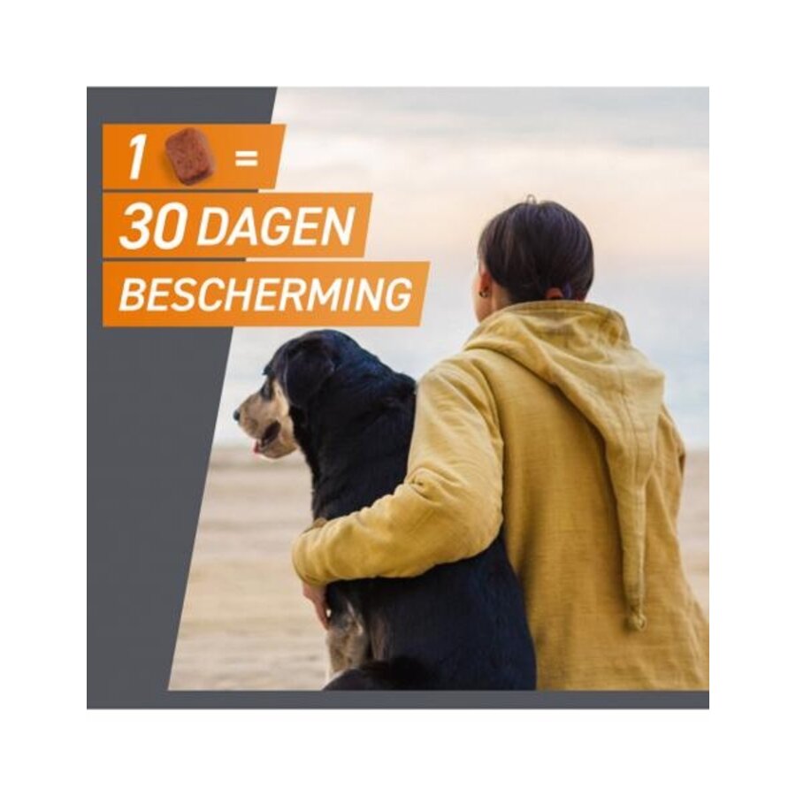 Hond Large 10–25 kg – Smakelijke kauwtabletten tegen vlooien en teken