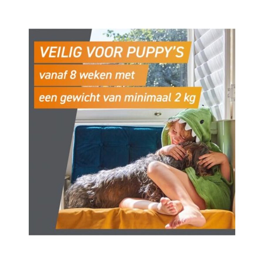 Hond Small 2–4 kg – Smakelijke kauwtabletten tegen vlooien en teken