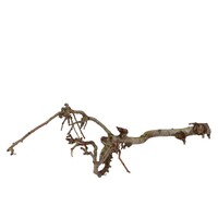 Perenhout tak 30 tot 60 cm | natuurlijk terrariumdecorstuk met vertakkingen