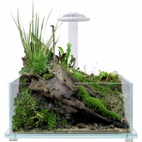 Bio Tank Whiu32 x 20 x 14 cm plantenterrarium met LED