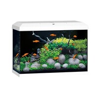 Aquarium Primo 70 LED 2.0 70 liter met filter, verwarming en ledverlichting