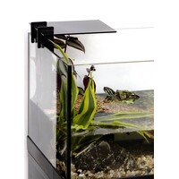 Aquaterrarium 100 | 100 x 40,5 x 35CM