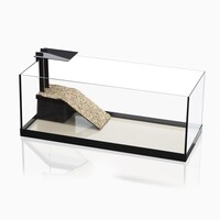 Aquaterrarium 80 | 80 x 35 x 40CM