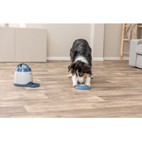 Memory Trainer 3.0 Strategisch Spel