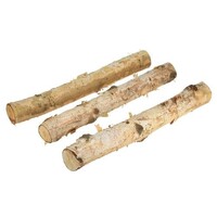 Berkentak gedroogd 30 cm voor terrariumdecoratie in diverse biotopen