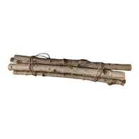 Berkentak gedroogd 60 cm voor natuurlijke terrariumdecoratie