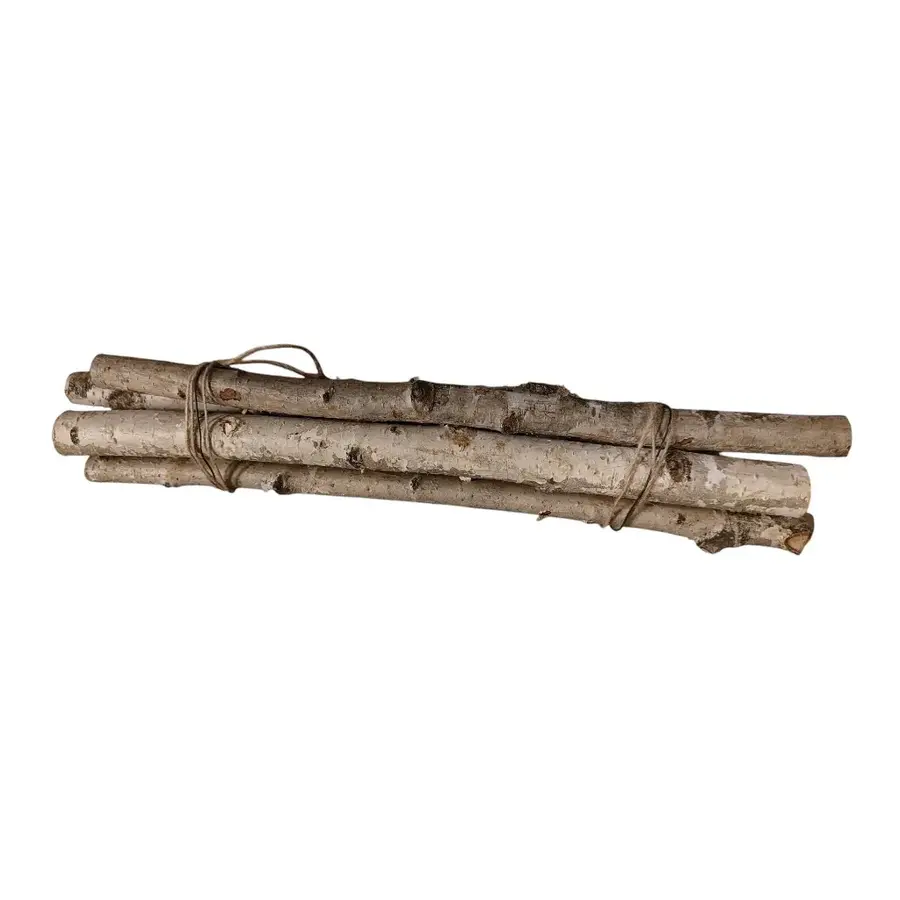 Berkentak gedroogd 60 cm voor natuurlijke terrariumdecoratie