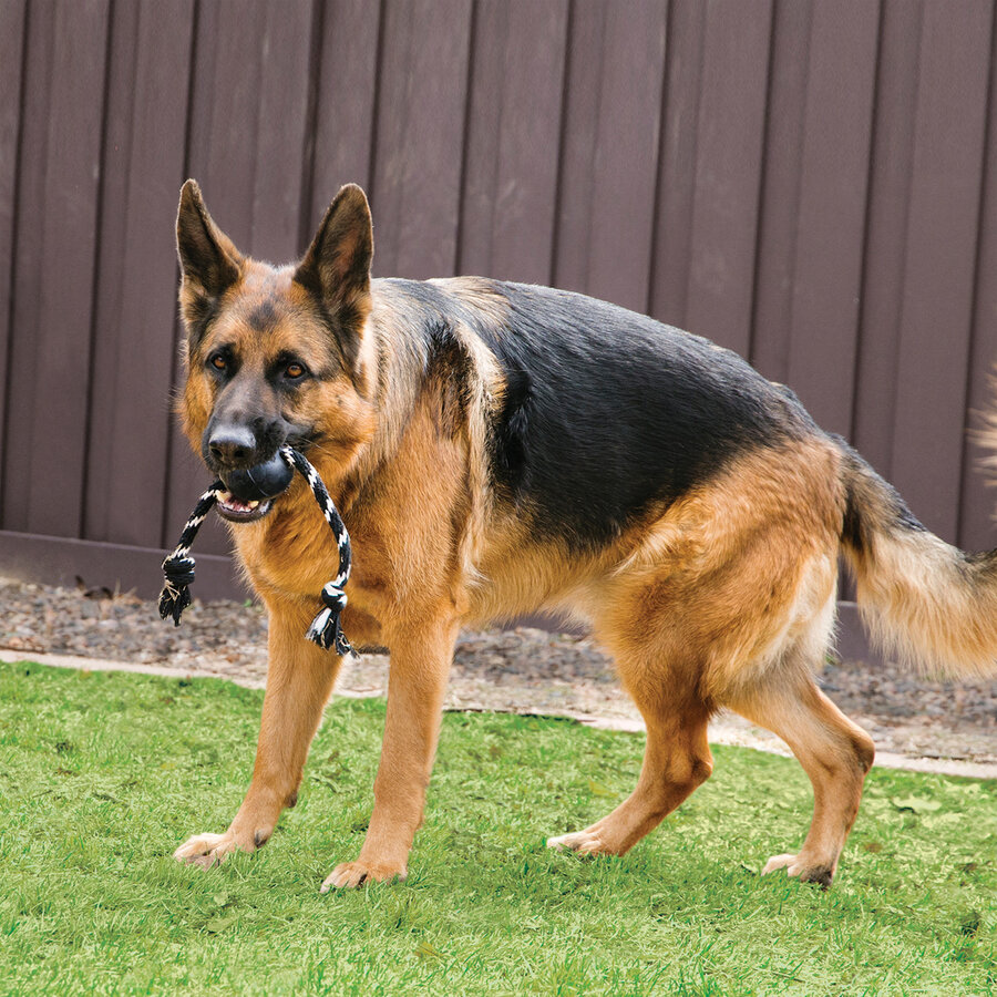 Extreme bal met touw zwart large | natuurlijk rubber apporteer en trekspeeltje voor honden