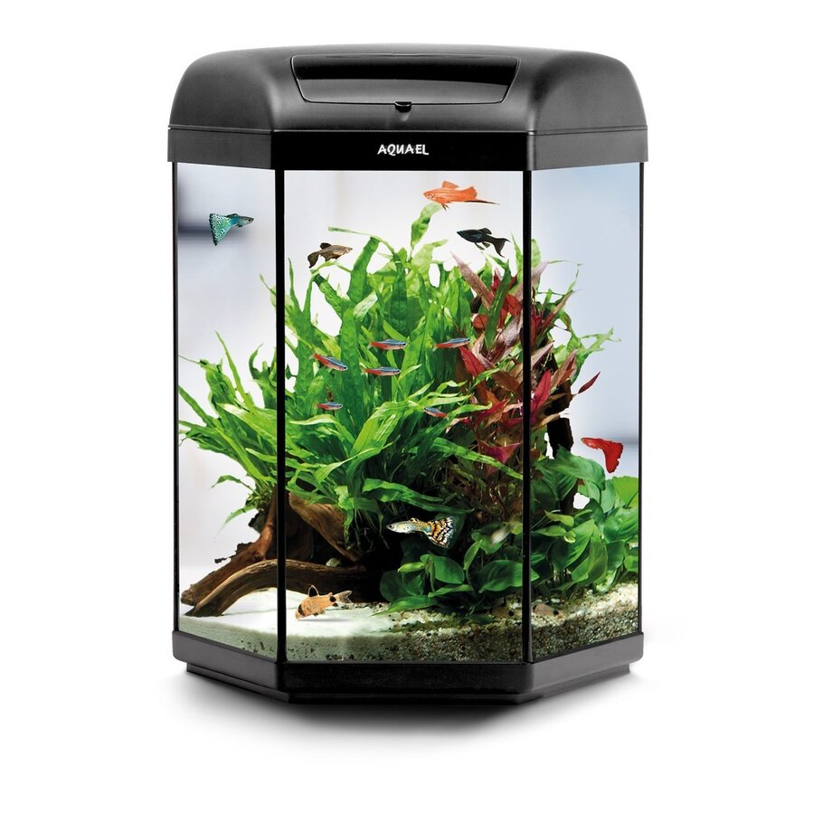 Hexa Set Zwart 60 Dag & Nacht | 60L | 41 x 41 x 60CM