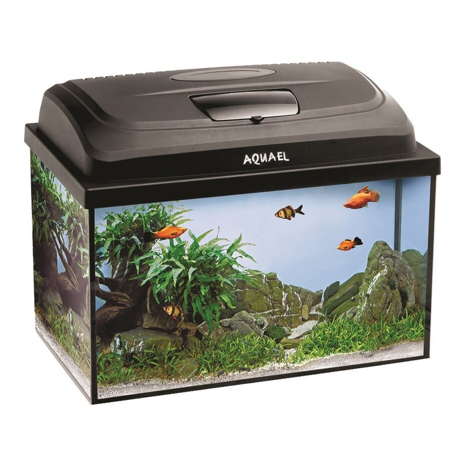 Classic Box 40 Straight Dag & Nacht | 25L | 41 x 25 x 25CM