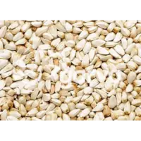 Kardizaad wit (5338) enkelvoudige zaden 15KG voor vogels