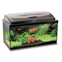 Aqua4Start 60 Straight Dag & Nacht | 54L | 60 x 30 x 30CM