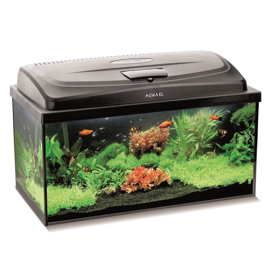 Aqua4Start 60 Straight Dag & Nacht | 54L | 60 x 30 x 30CM