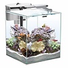 Nano Reef Duo Wit 35 2.0 | 49L | 35 x 35 x 40CM