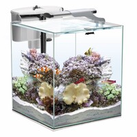 Nano Reef Duo Wit 35 2.0 | 49L | 35 x 35 x 40CM