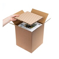 Shrimp Set Smart Dag & Nacht 10 Ecom| 10L | 20 x 20 x 25CM