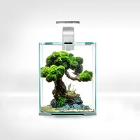 Shrimp Set Smart Dag & Nacht 10 Ecom| 10L | 20 x 20 x 25CM