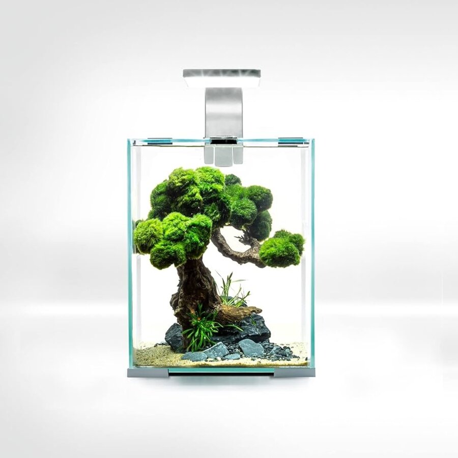 Shrimp Set Smart Dag & Nacht 10 Ecom| 10L | 20 x 20 x 25CM