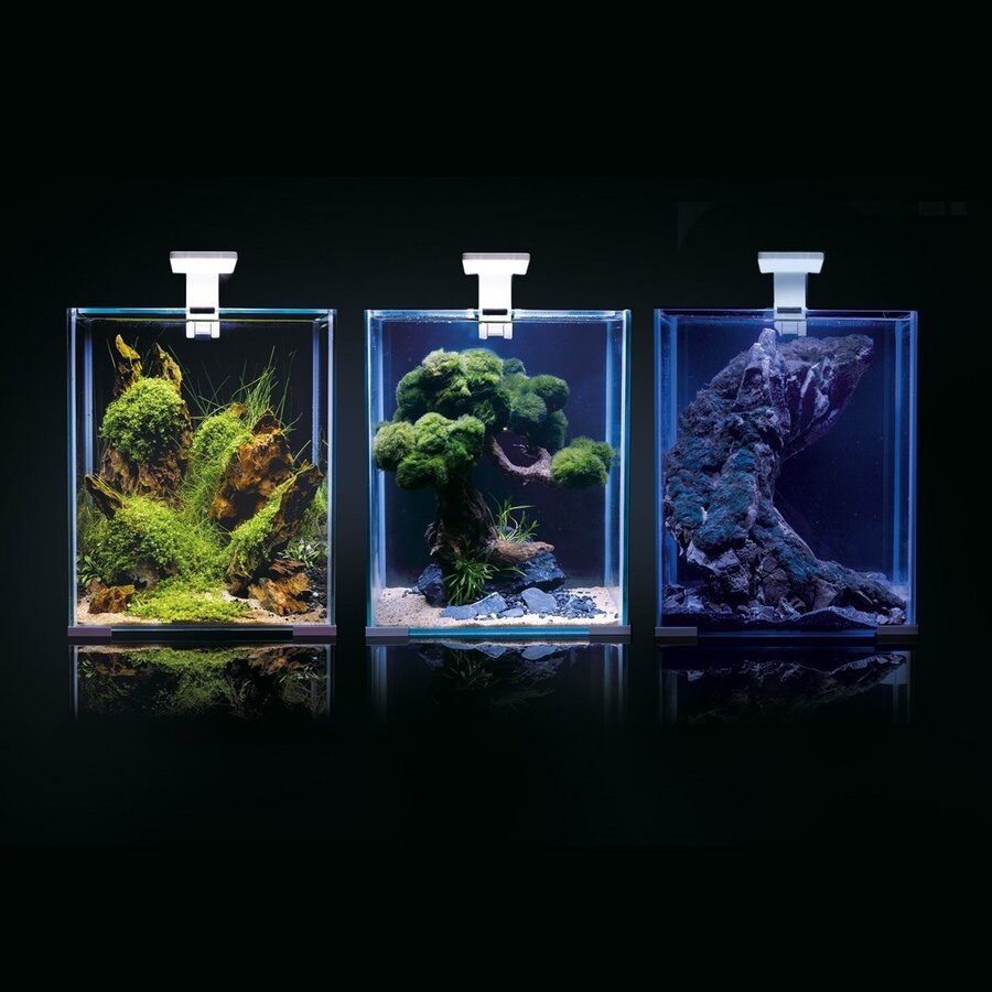 Shrimp Set Dag & Nacht 30 | 29L | 29 x 29 x 35CM