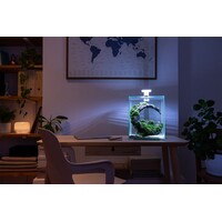 Shrimp Set Dag & Nacht 30 | 29L | 29 x 29 x 35CM