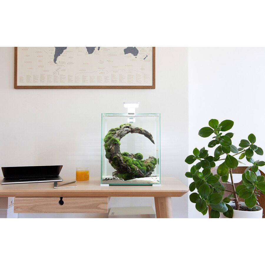 Shrimp Set Dag & Nacht 20 | 19L | 25 x 25 x 30CM