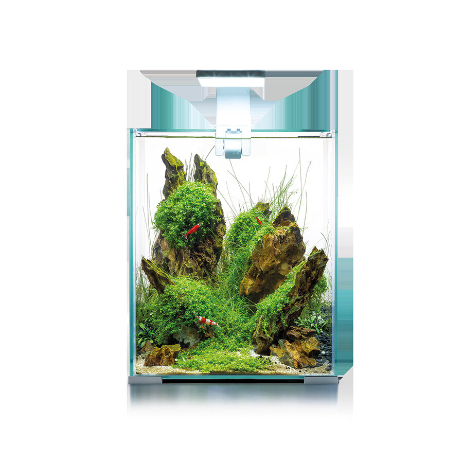 Shrimp Set Dag & Nacht 20 | 19L | 25 x 25 x 30CM