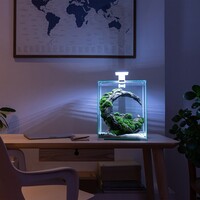 Shrimp Set Dag & Nacht 20 | 19L | 25 x 25 x 30CM