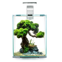 Shrimp Set Dag & Nacht 10 | 10L | 20 x 20 x 25CM